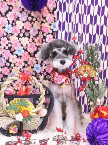 20251014ルナちゃん